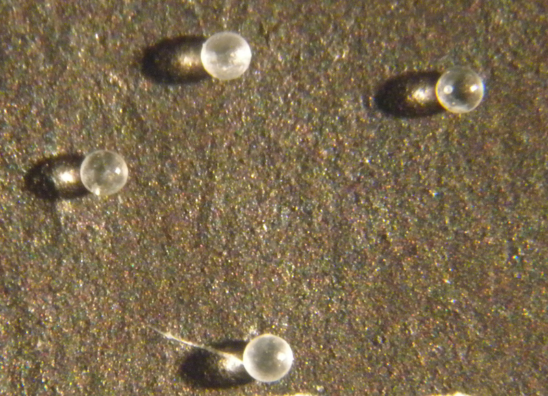 Cuatro microtectitas